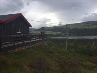 Live in the realm of the musk oxen on Dovrefjell