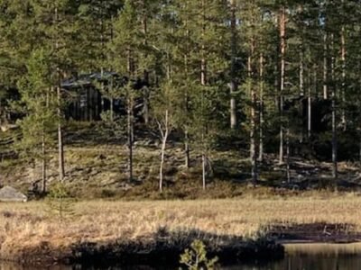 Velkommen til Finnskogen og minihytta Rimbila