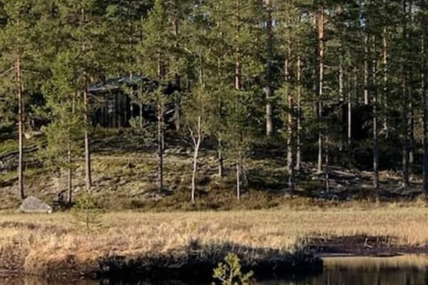 Velkommen til Finnskogen og minihytta Rimbila