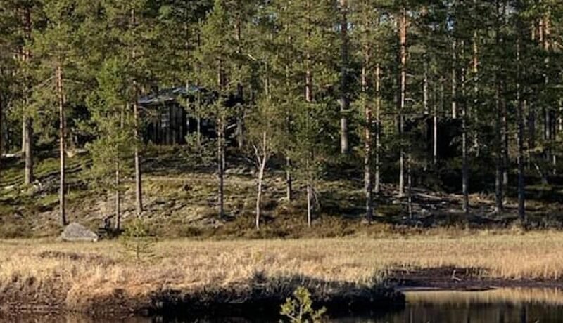 Velkommen til Finnskogen og minihytta Rimbila