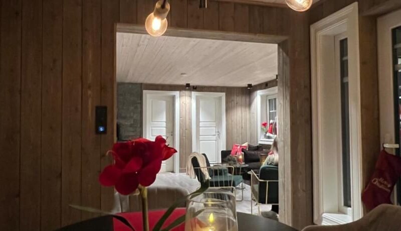 Villa Solsiden Geilo