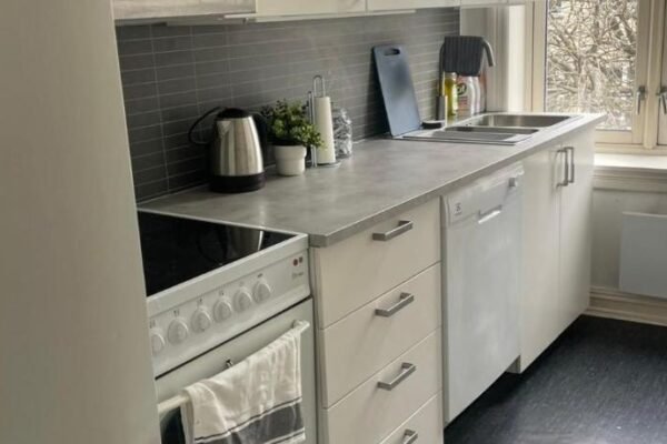 Big and Nice apartment in Oslo City center