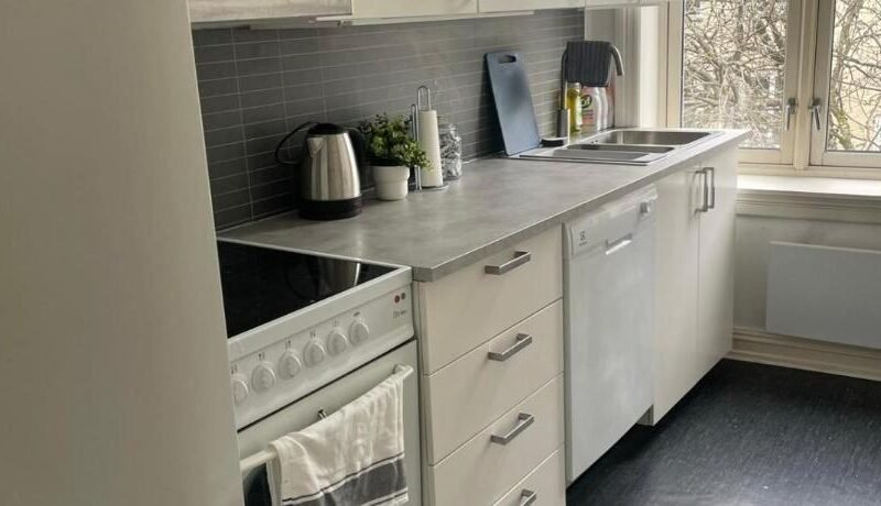 Big and Nice apartment in Oslo City center