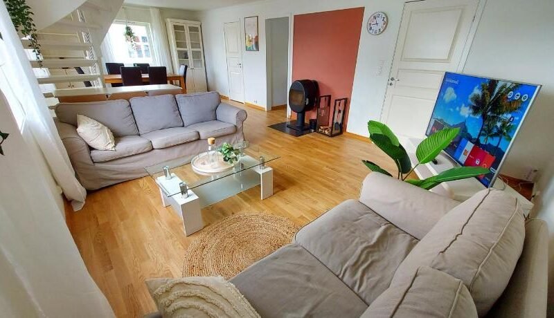 Central modern Lyse Fjord apartment