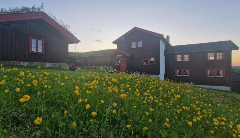 Skotten Seter – Bed & Husky