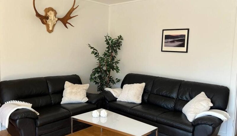 Stor leilighet pa Finnskogen – stillhet og ro