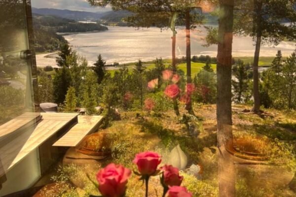 Speilsuite med egen badstue og panorama