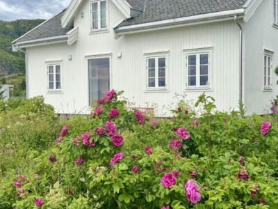 Historic House, 1880 – Stunning Panoramic Views