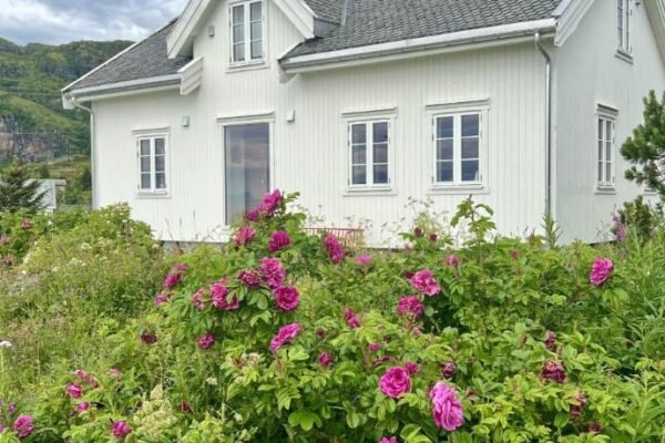 Historic House, 1880 – Stunning Panoramic Views