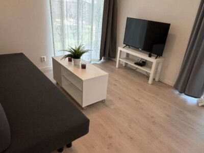 Lisas apartment, private new 1 bedroom and 1 living room with sofa bed and big windows, share with n