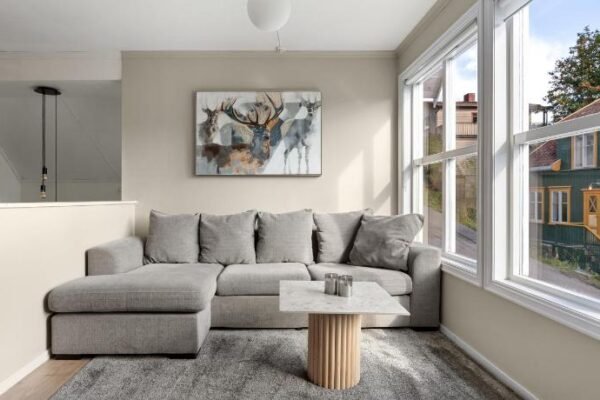 ARCTIC HOMES – The Town House