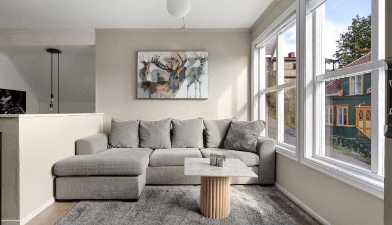 ARCTIC HOMES – The Town House