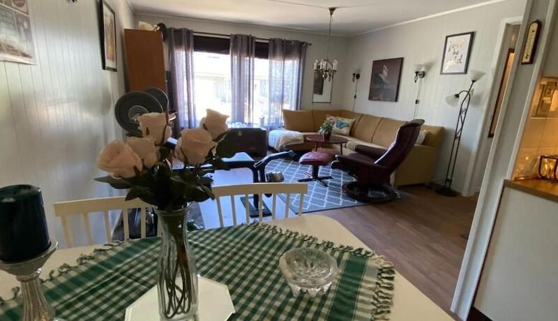 Cozy apartment near city center and nature