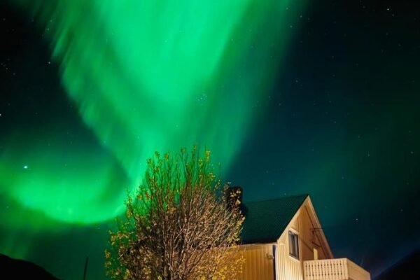 Enebolig med Eventyrlig beliggenhet like ved sjøen i Lofoten
