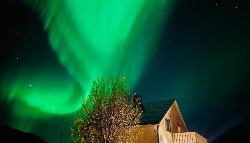 Enebolig med Eventyrlig beliggenhet like ved sjøen i Lofoten
