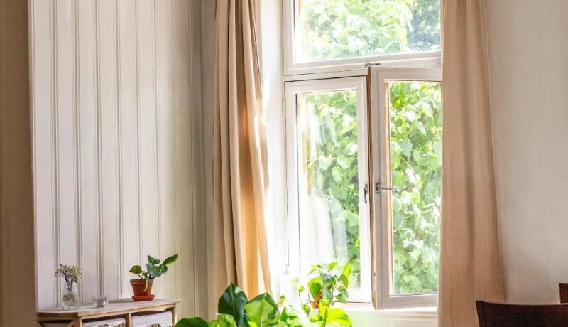 Charming 1800s Apt w fireplace and free parking