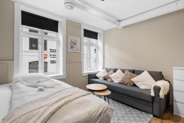 Central stay apartment – 301