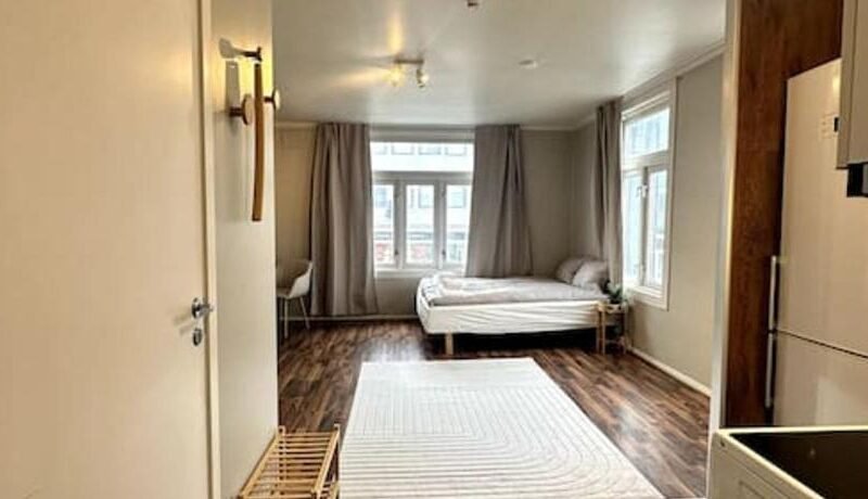 Sentral studioleilighet