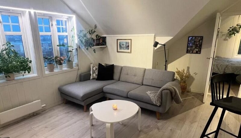 Cozy apartment on the hill