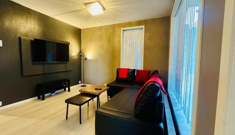 Modern 1BR Flat in Oslo – Central & connected