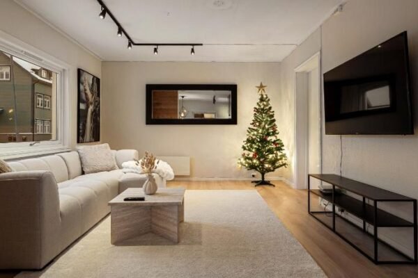ARCTIC HOMES – Scandinavian 1&2 BR Apartments