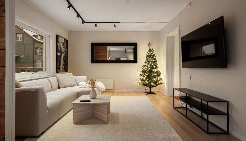 ARCTIC HOMES – Scandinavian 1&2 BR Apartments