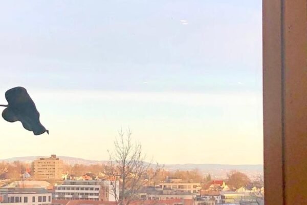 Cozy home away from home