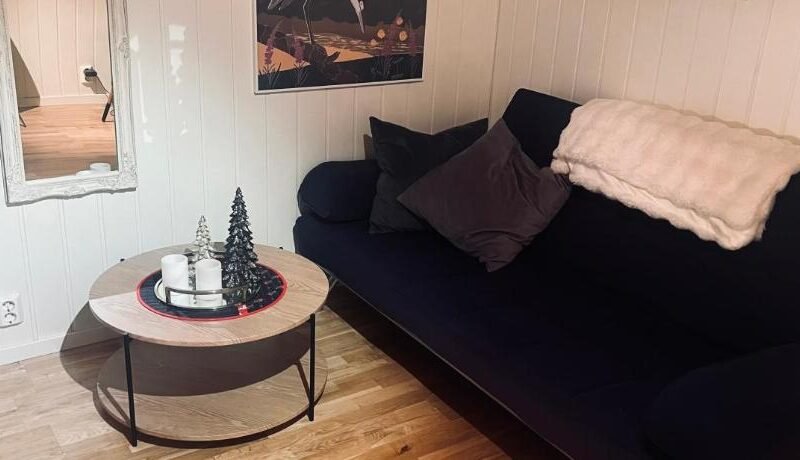 Cozy 1 bedr apartment close to everything!