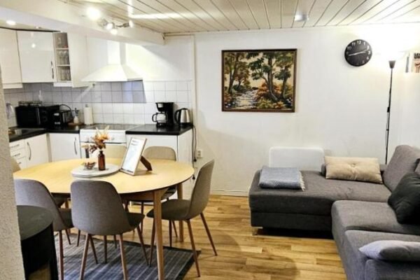 Central and Large cosey apartment