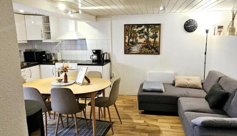 Central and Large cosey apartment