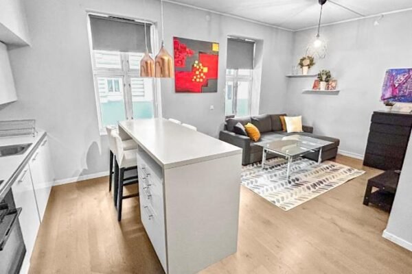 Exclusive and Central Apartment in Vika