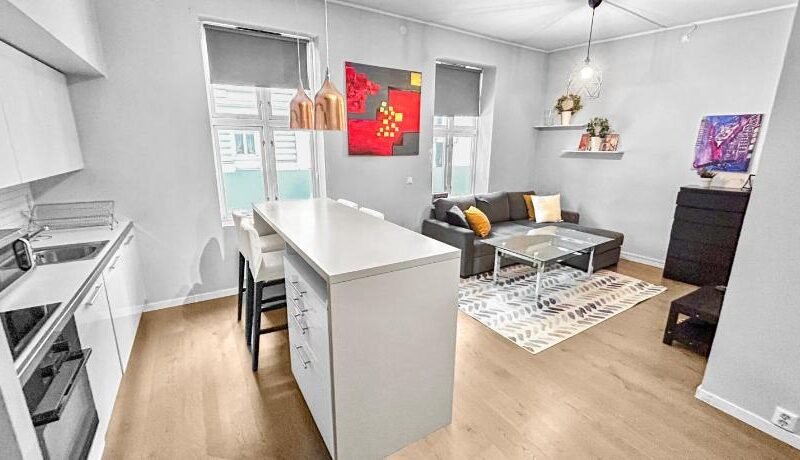 Exclusive and Central Apartment in Vika