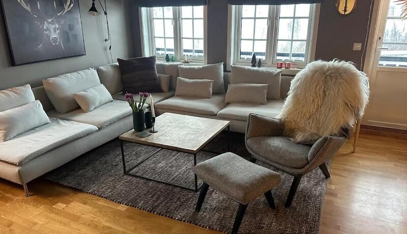 Leilighet i 1 etg Røldal