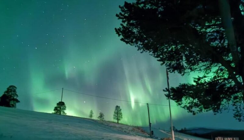 Feriehus ved Fjellfroskvatnet