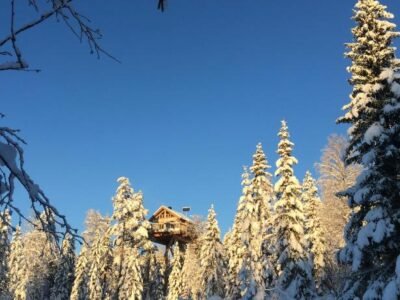 Farasen Luxury Treetop Cabin – Sleep Among the Trees