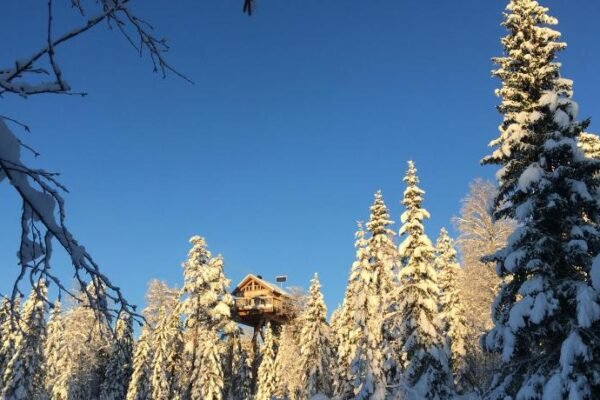 Farasen Luxury Treetop Cabin – Sleep Among the Trees