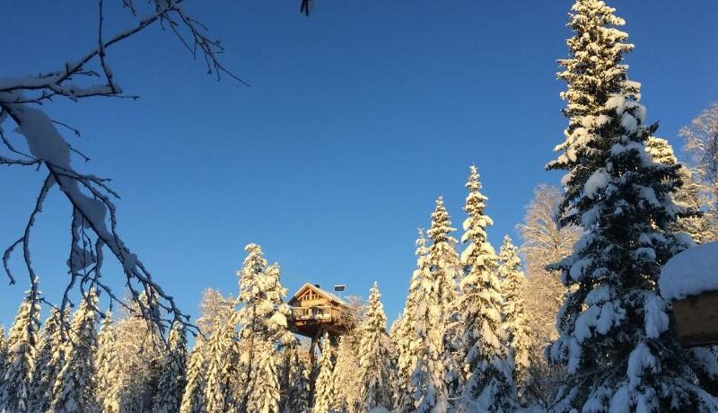 Farasen Luxury Treetop Cabin – Sleep Among the Trees