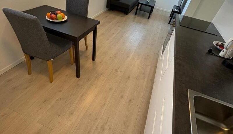 Temis apartment, private new 1 bed room and 1 living room with sofa bed and lagre kitchen, share wit