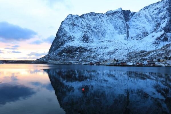 Reine Brygga Apartments