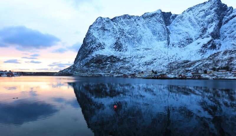 Reine Brygga Apartments