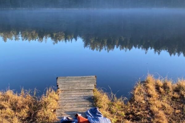 Energy place in the woods 30 min from Oslo
