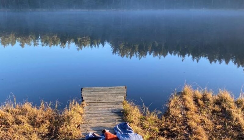 Energy place in the woods 30 min from Oslo