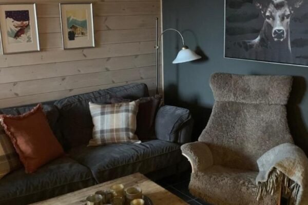 Ski in-ski out leilighet Hemsedal