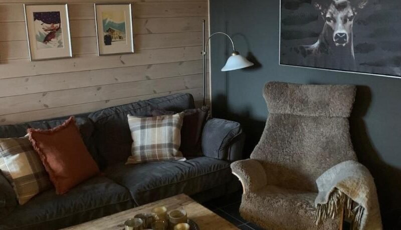 Ski in-ski out leilighet Hemsedal