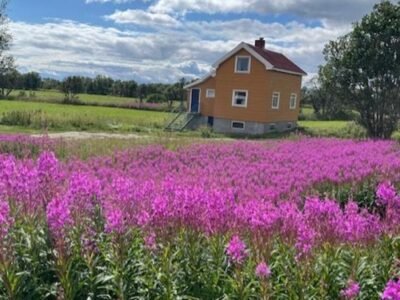 Bogstrand, Dverbergveien 11, 8485 Dverberg