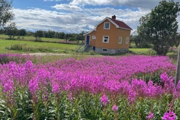 Bogstrand, Dverbergveien 11, 8485 Dverberg