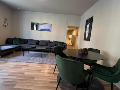 Notodden Sentrum Apartment NO 12