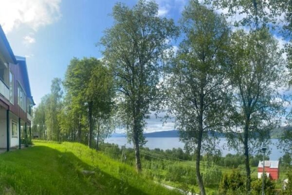 Bed and Breakfast Nordic Horn