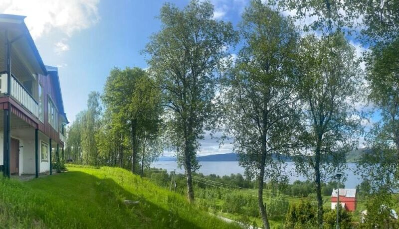 Bed and Breakfast Nordic Horn