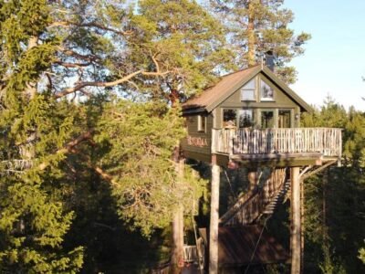 Tretopphytta Kraggbua